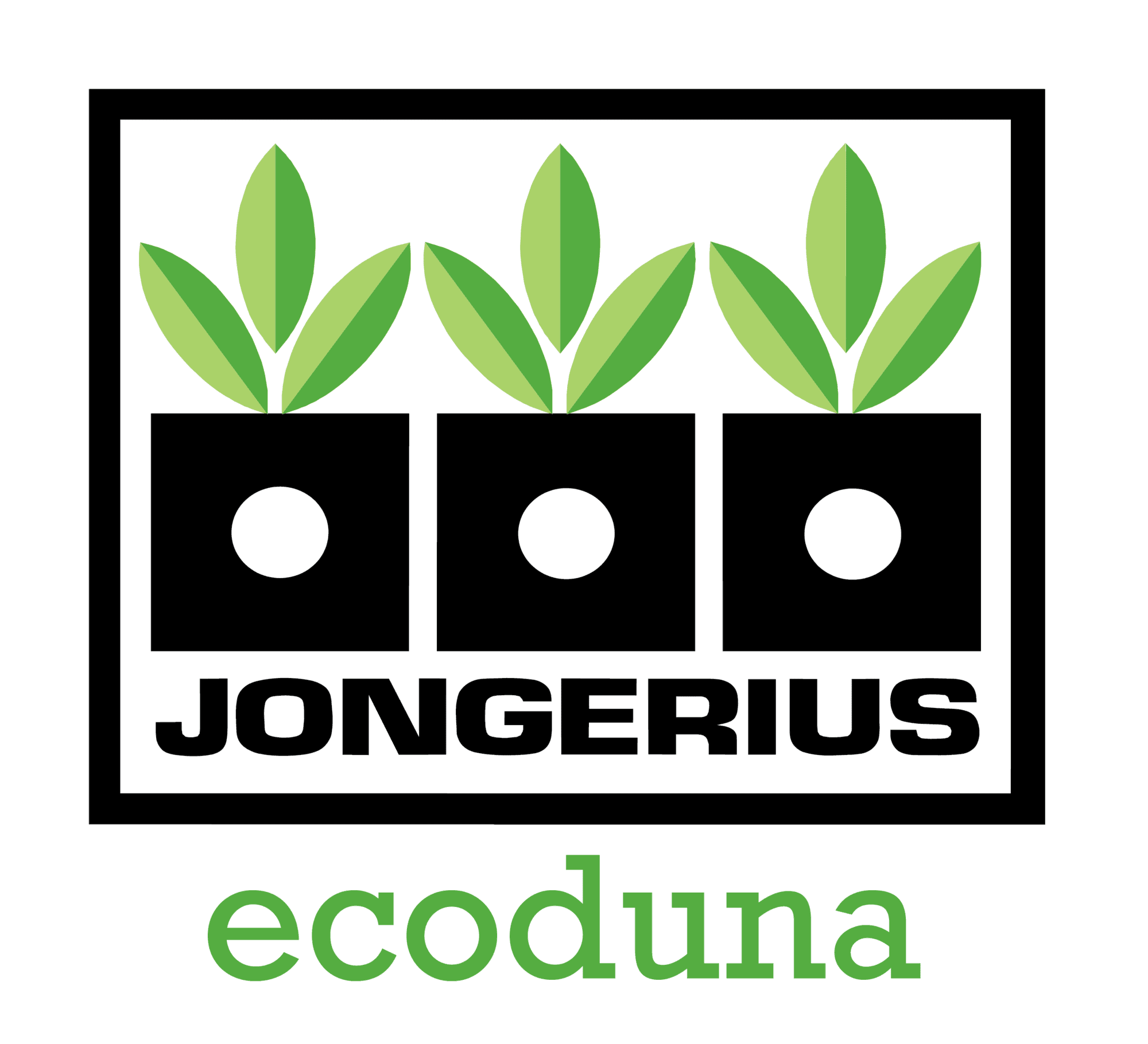 Jongerius ecoduna
